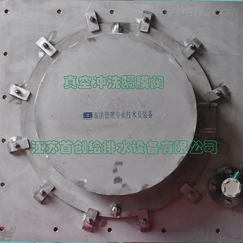 真空沖洗裝置的典型故障及其應對策略分享