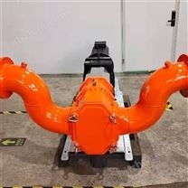 工業(yè)污泥轉(zhuǎn)子泵