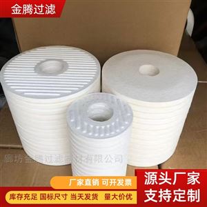 B15/25濾油機離線過濾器濾芯