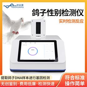 YP-P16鸽子公母检测仪
