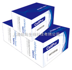 Wk11467人活化凝血因子Ⅻ试剂盒