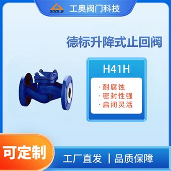 H41H德标升降式止回阀