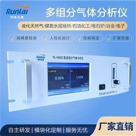 RL-U500多参数气体分析仪
