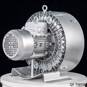 漩涡气泵TWYX高压气环式真空泵RB-62SH-1高压风机