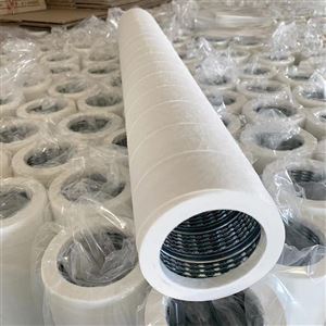 FG-312-25气体聚结分离过滤器天然气滤芯