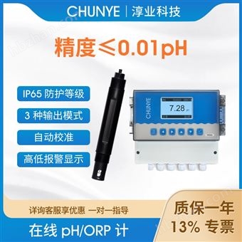 W8506在線PH/ORP計