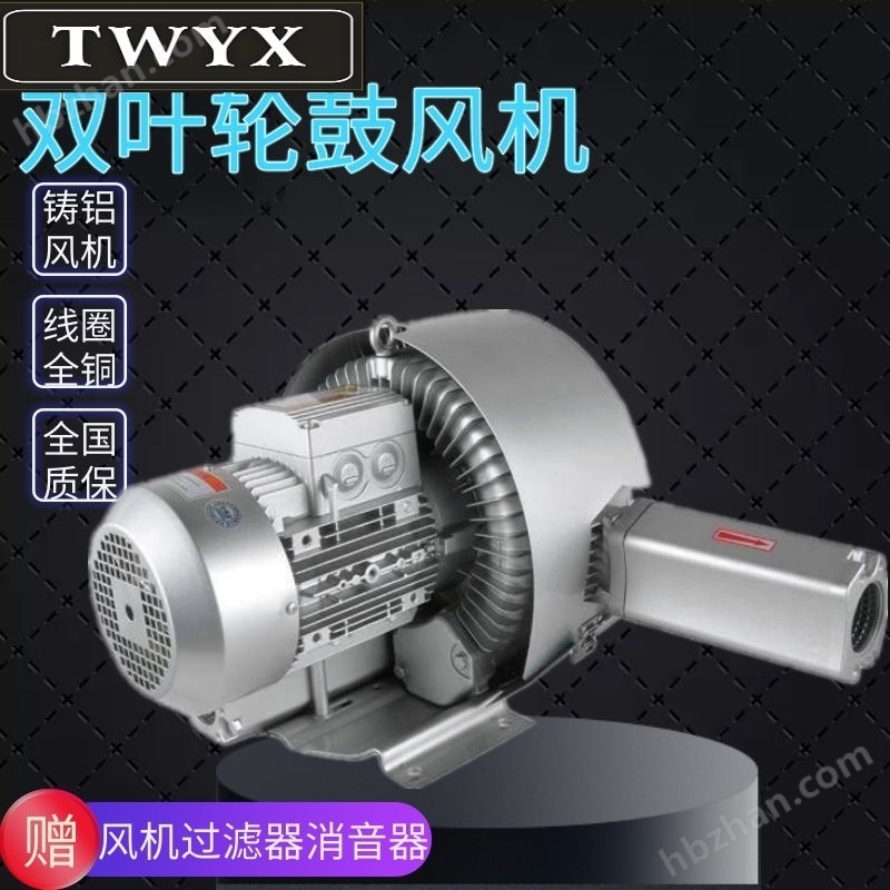 抽物料雙葉輪鼓風(fēng)機(jī)