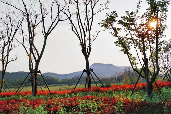 京城環(huán)保天津項目全面建成 為天津市污泥處理處置提供創(chuàng)新方案