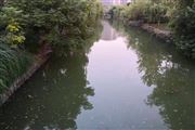 宿州市砀山县聚焦水质监测监管持续推进水环境治理提标升级