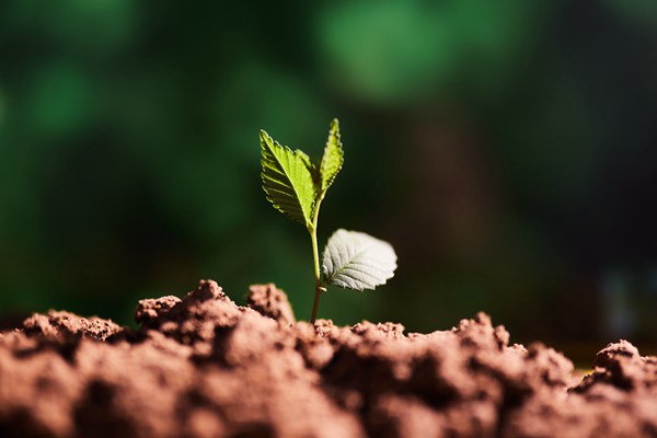 國家生態(tài)環(huán)境標準《重點監(jiān)管單位土壤污染隱患排查整改技術(shù)指南（征求意見稿）》公開征求意見