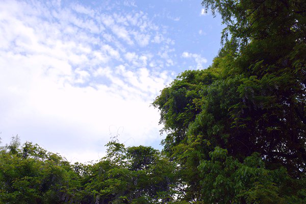 2025年度工業(yè)節(jié)能降碳標(biāo)準(zhǔn)研究項(xiàng)目公示！