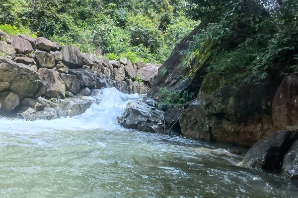 11.6億！上海市政總院預(yù)中標(biāo)