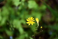 浙江省生態(tài)環(huán)境廳組織申報2026年度省生態(tài)環(huán)境行業(yè)領域科技計劃項目！