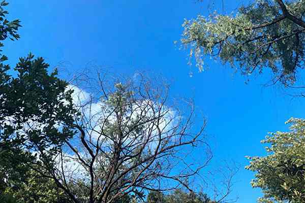 我國(guó)東部地區(qū)出現(xiàn)連片PM2.5污染過程，各地依法依規(guī)啟動(dòng)預(yù)警積極開展應(yīng)對(duì)