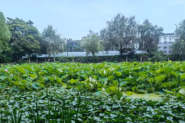 1.52億！河北省景縣第二污水處理廠一期工程項(xiàng)目EPC工程總承包中標(biāo)