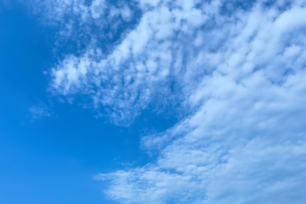 云鋁文山熱電站鍋爐煙氣超低排放改造配套設(shè)備設(shè)施采購及安裝招標(biāo)