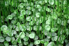 遼寧建興資源公司：引領(lǐng)固廢綜合利用產(chǎn)業(yè)向“綠”而行、向強(qiáng)而爭、向優(yōu)而進(jìn)