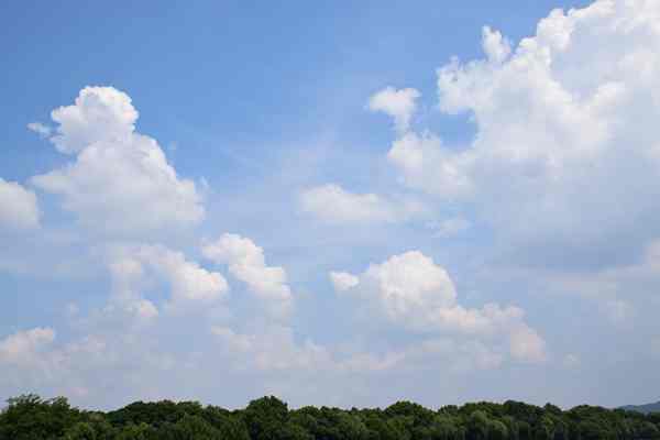 泰達(dá)環(huán)保強(qiáng)勢(shì)再出手！成功收購(gòu)中交唐山環(huán)保垃圾焚燒發(fā)電項(xiàng)目