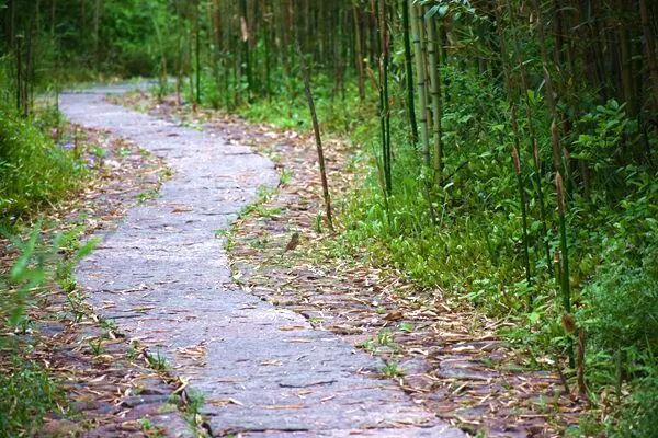 约4039元/吨！上海嘉定城发2026年飞灰处置服务结果出炉