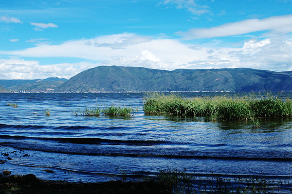 中華環(huán)保聯(lián)合會關于征集 《水環(huán)境治理創(chuàng)新技術與產品案例（2026版）》的函