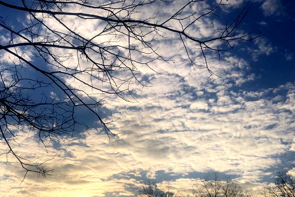 強(qiáng)化消耗臭氧層物質(zhì)和氫氟碳化物全鏈條管控 夯實(shí)臭氧層保護(hù)基礎(chǔ)