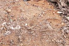 滁州市多措并扎實(shí)推進(jìn)土壤污染防治顯成效