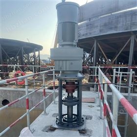 后缺氧池立式水翼式攪拌機
