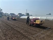 大蒜播種機(jī)器