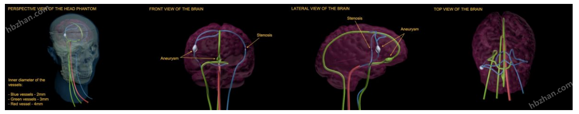 True phantom多功能头部模体