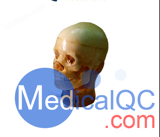 True phantom多功能头部模体