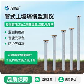 WX-GS6六层管式土壤墒情监测仪